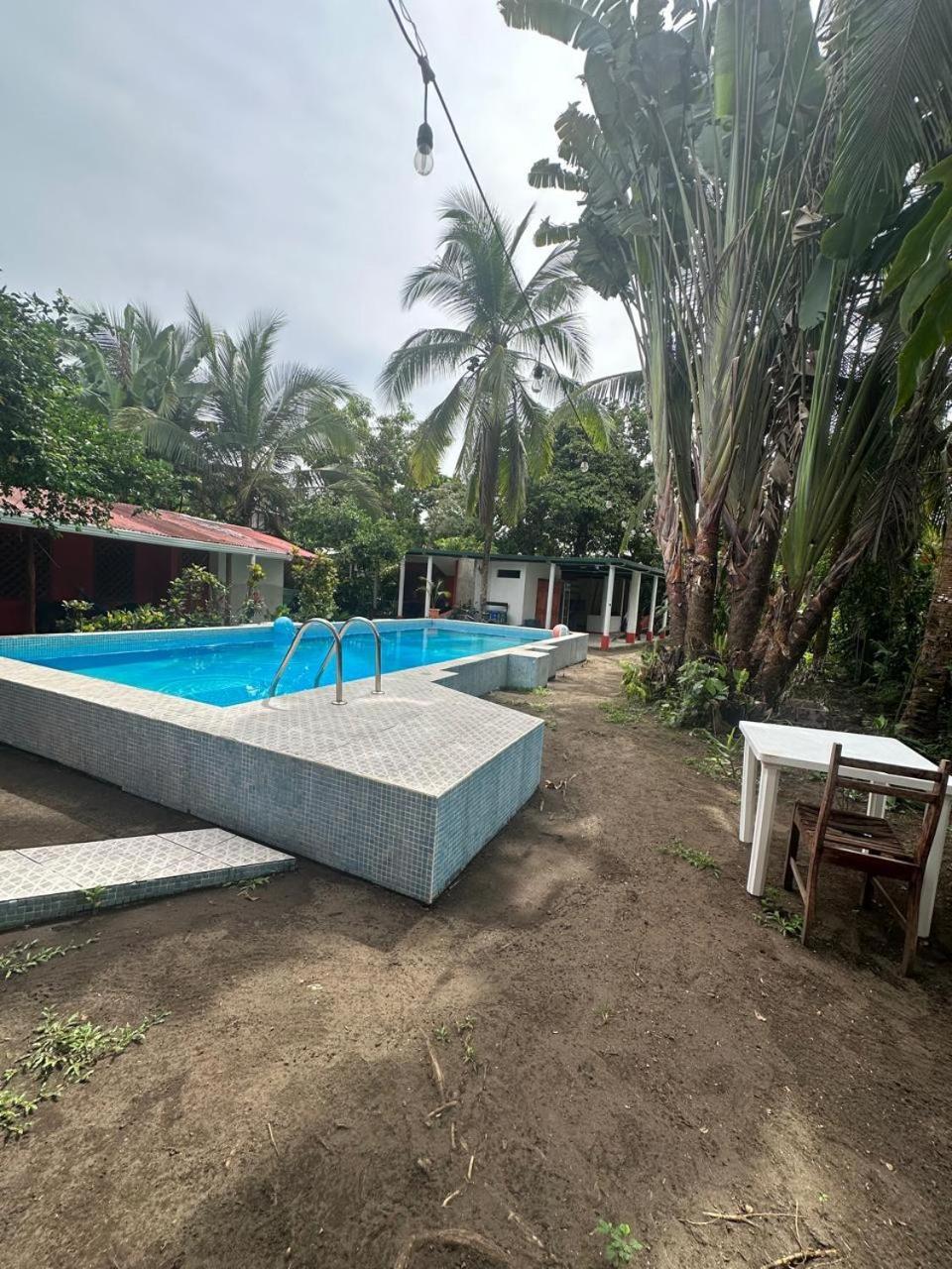 Hotel Don Quichotte Tortuguero Eksteriør billede
