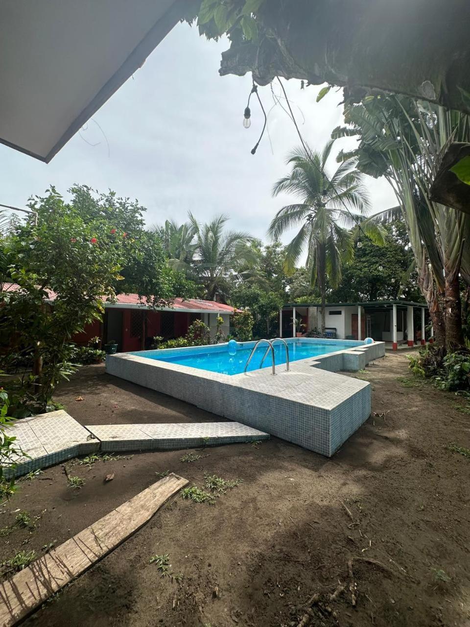 Hotel Don Quichotte Tortuguero Eksteriør billede