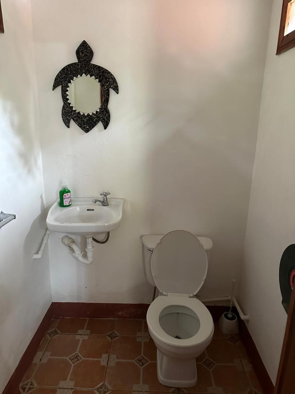 Hotel Don Quichotte Tortuguero Eksteriør billede