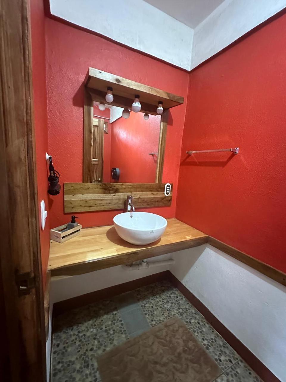 Hotel Don Quichotte Tortuguero Eksteriør billede