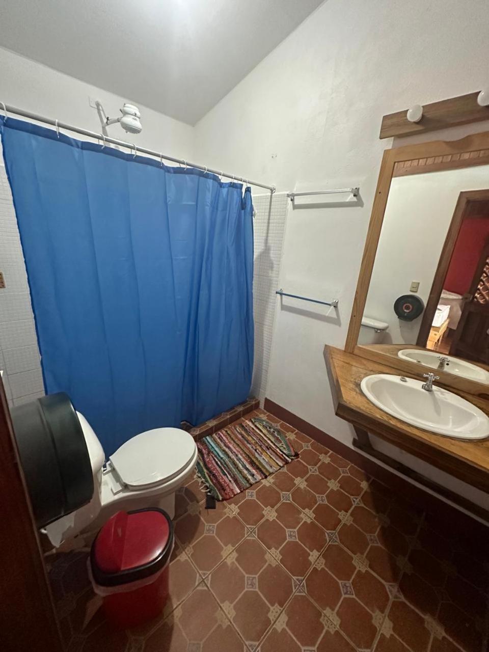 Hotel Don Quichotte Tortuguero Eksteriør billede