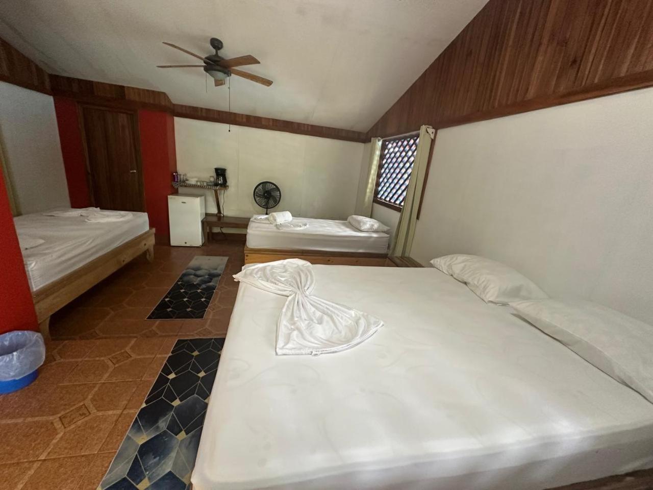Hotel Don Quichotte Tortuguero Eksteriør billede