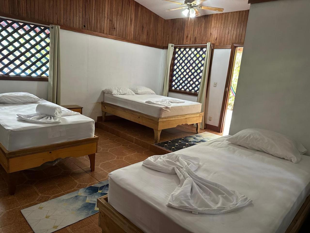 Hotel Don Quichotte Tortuguero Eksteriør billede